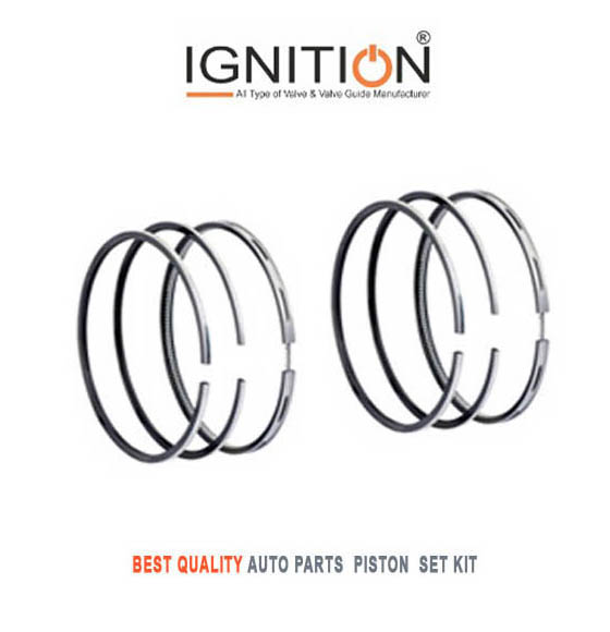 SS Piston Ring Manufacturers