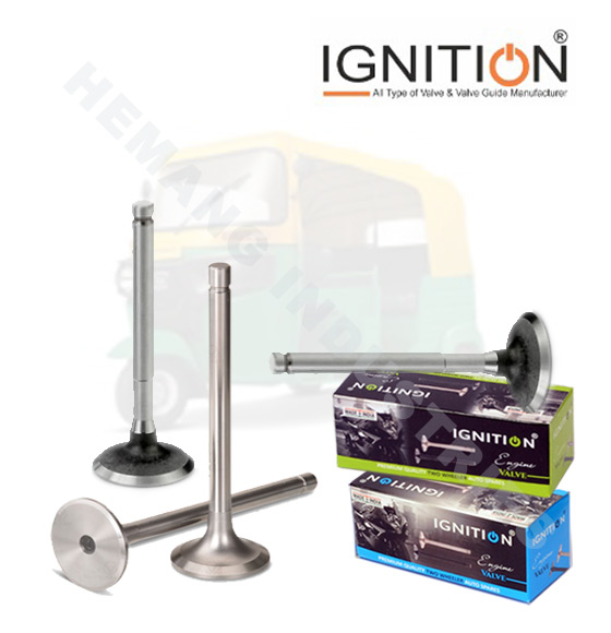 CNG Auto Riksha Engine Valves  Manufacturer / Suppliers / Exporters