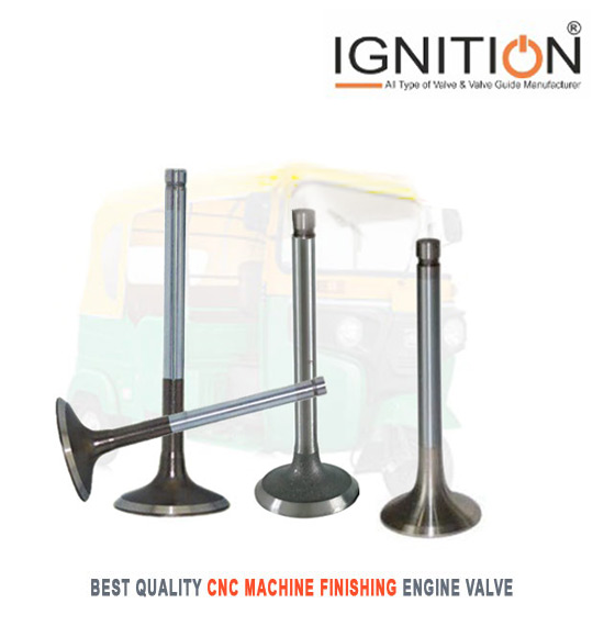 CNG Auto Rickshaw Engine Valves - CNG Automotive Engine Valves Manufacturers Rajkot Petrol and Diesel