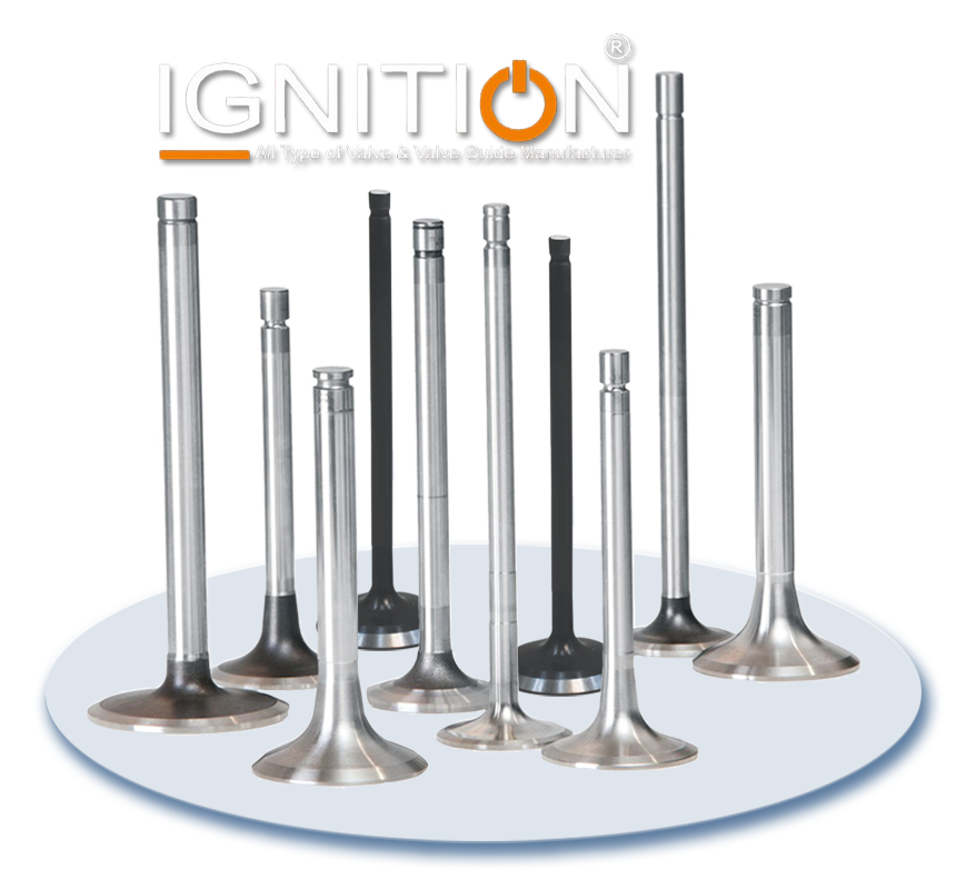 Maruti lndustries SS Wash Basin Bidet Screw Bolt Best Quality Genuine Parts